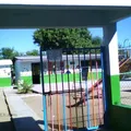 Mayambo