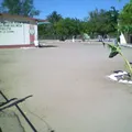 Prof. Salvador Ruiz Mejia