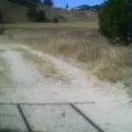 Tribu Pima