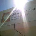 Hermanos Flores Magon