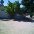 Pipila