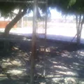 Constitucion