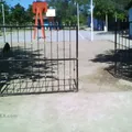 Gilberto R Limon