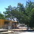 Estado de Chiapas