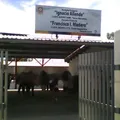 Ignacio Allende