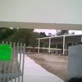 Ricardo Flores Magon