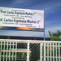 Prof. Carlos Espinoza Munoz 1