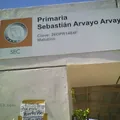 Sebastian Arvayo Arvayo