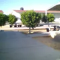 Escuela Primaria Nueva Creacion
