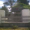 Guadalupe Arguelles Obregon