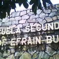 Prof. Efrain Buenrostro