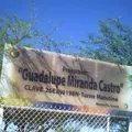 Guadalupe Miranda Castro