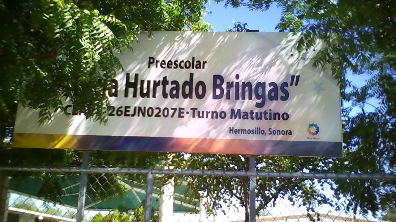 Alicia Hurtado Bringas Entrada