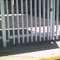 Instituto Iris