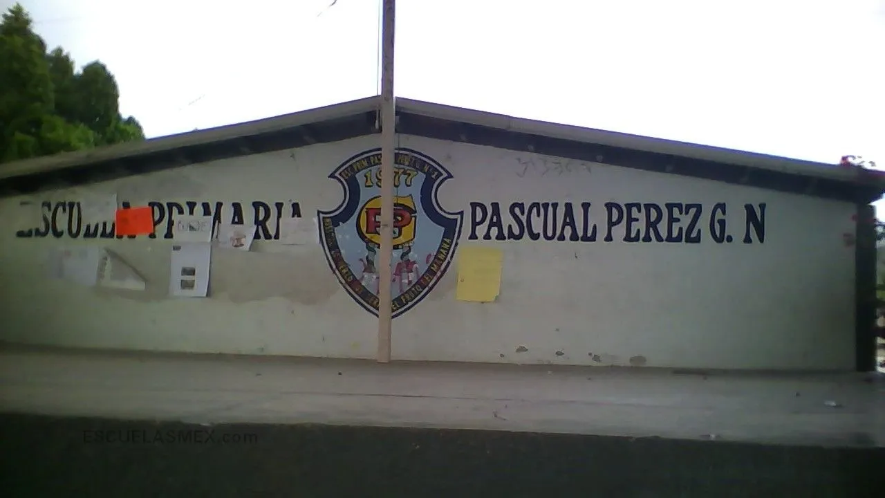 Prof. Pascual Perez Gonzalez Entrada