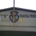 Prof. Pascual Perez Gonzalez