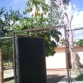Telesecundaria 41