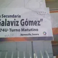 Francisco Galaviz Gomez