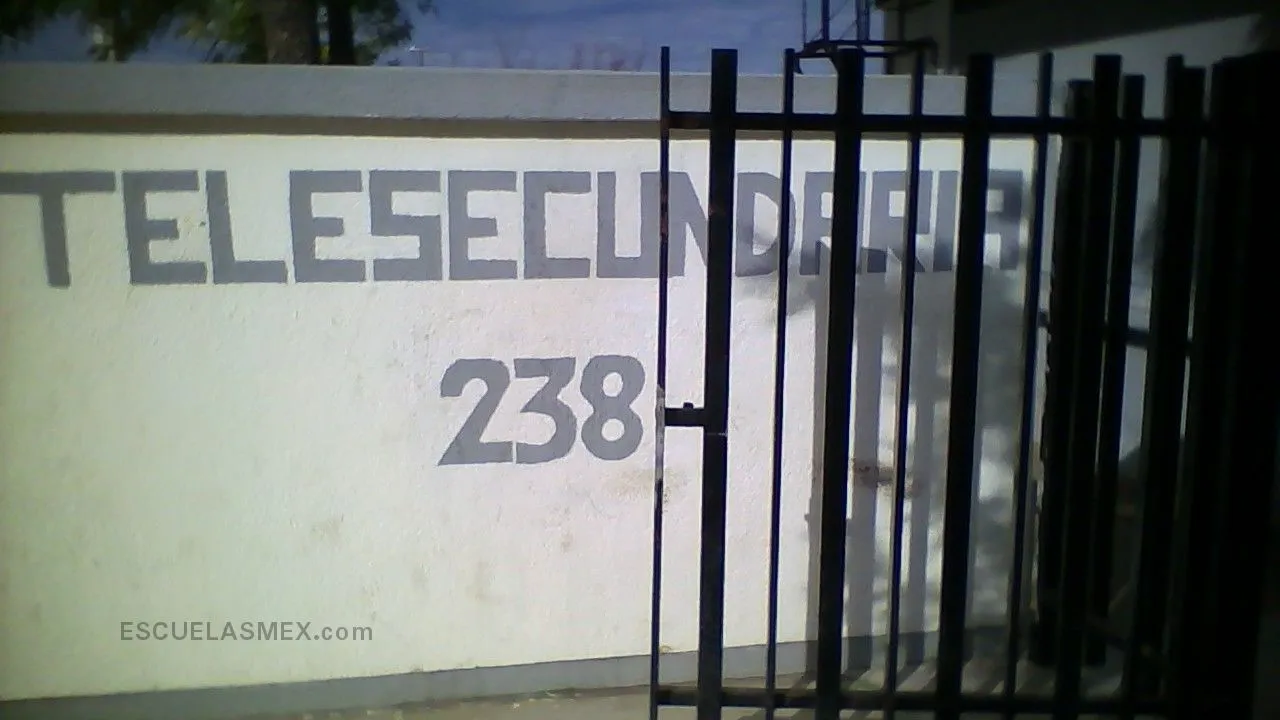 Telesecundaria 238 Entrada