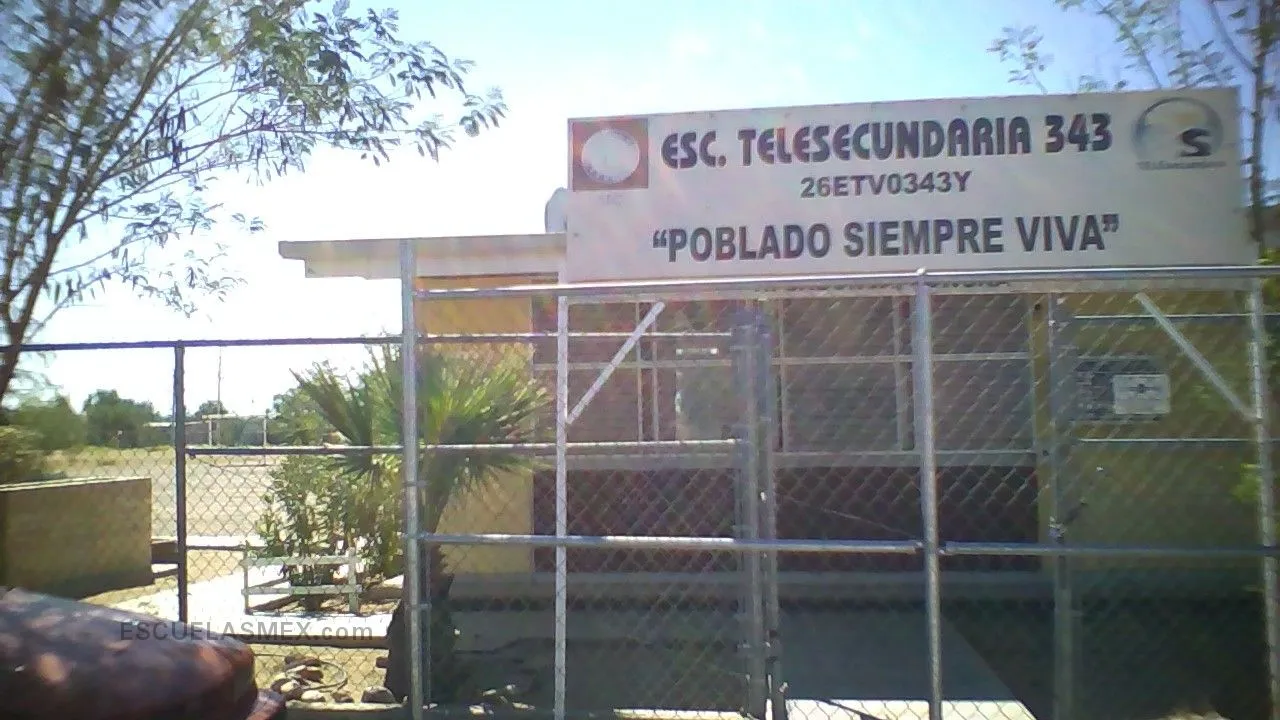 Telesecundaria 343 Entrada