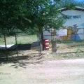 Preescolar Comunitario