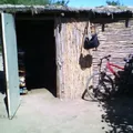Secundaria Comunitaria