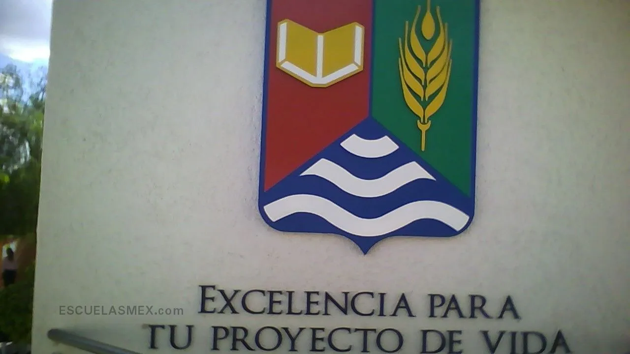 Liceo Thezia Entrada