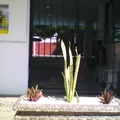 Instituto Pierre Faure del Noroeste