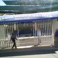 Colegio Bilingue Nueva Galicia
