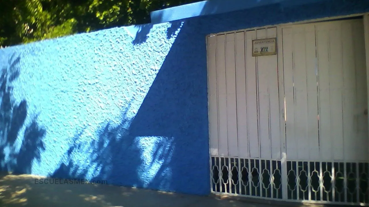 Piaget Entrada