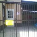 Mis Primeros Pasos