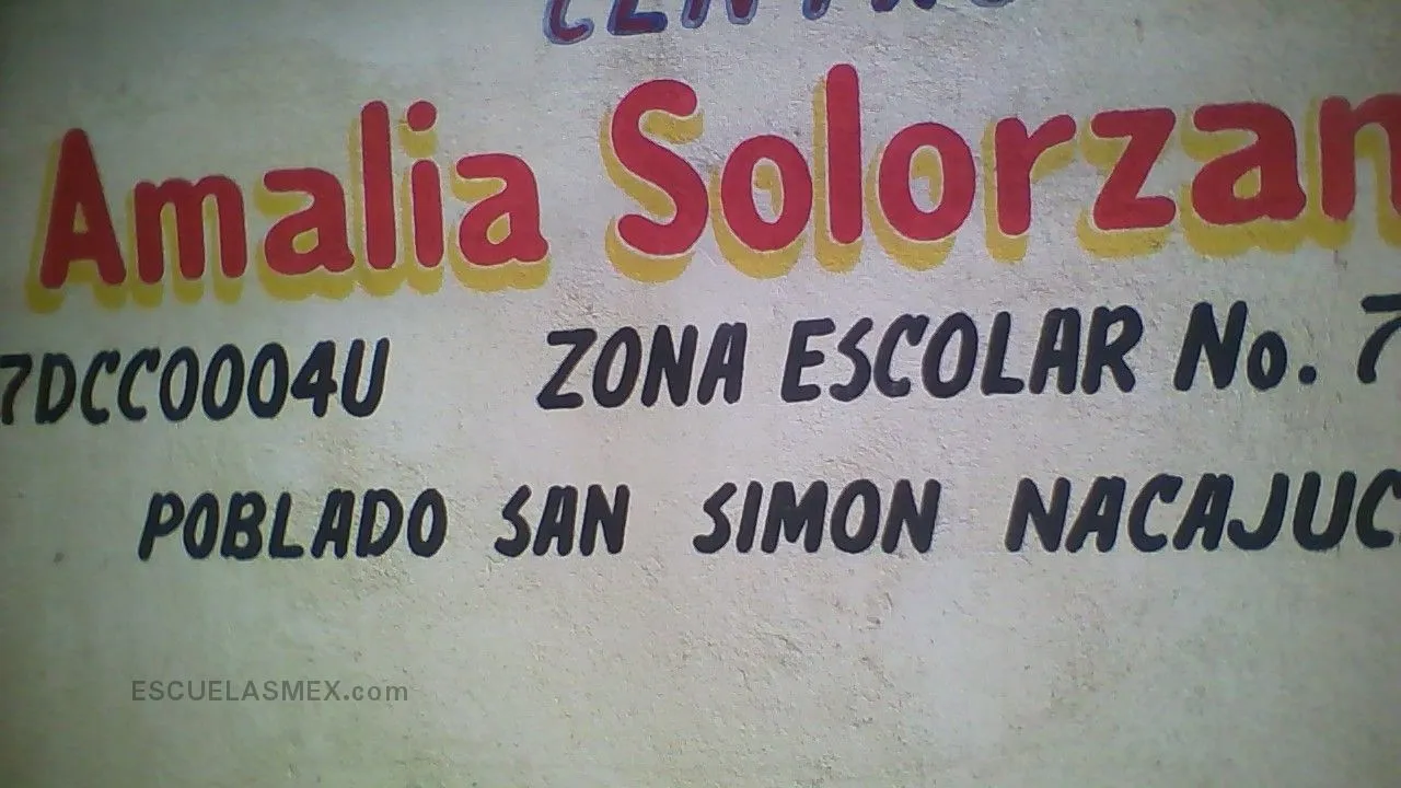 Sra Amalia Solorzano Vda de Cardenas Entrada