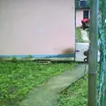 Nich Ixim