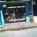 Concepcion Nelly Garcia Canepa