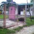 Jose Gorostiza