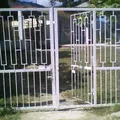 Bugambilia