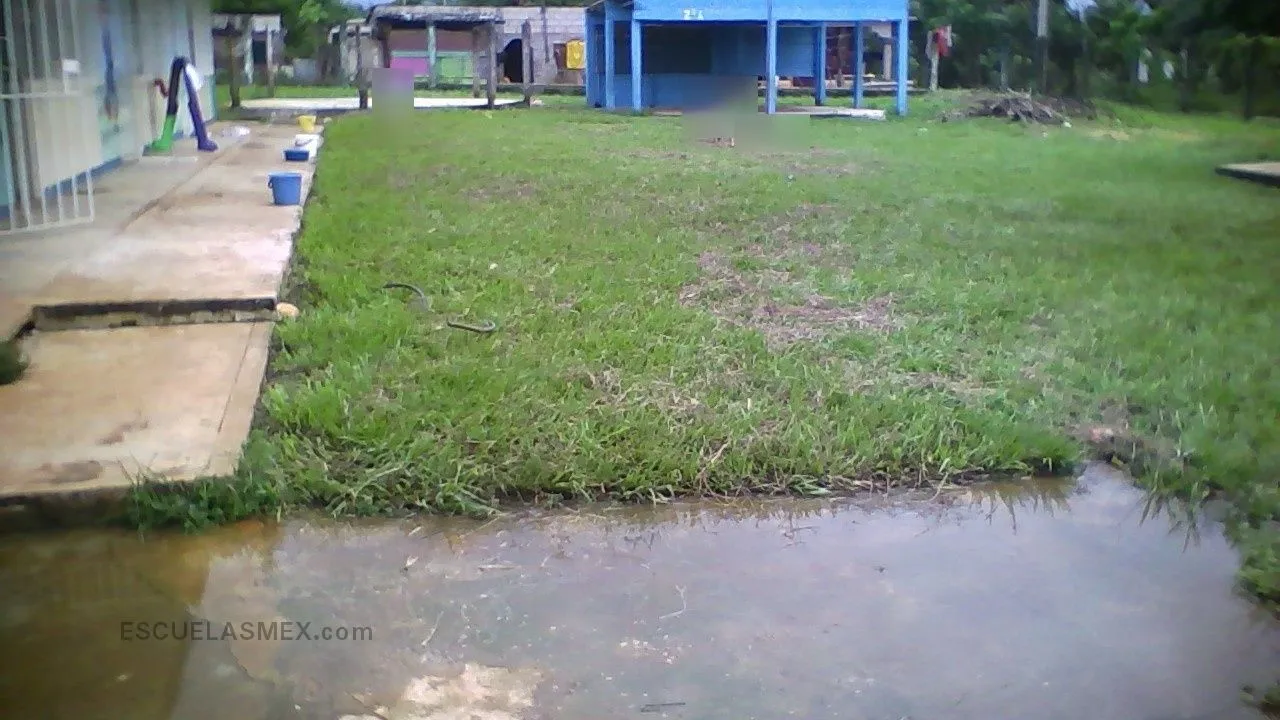 Victor Manuel Solis Solano CCT 27DJN0444G