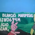 Mis Blancas Mariposas