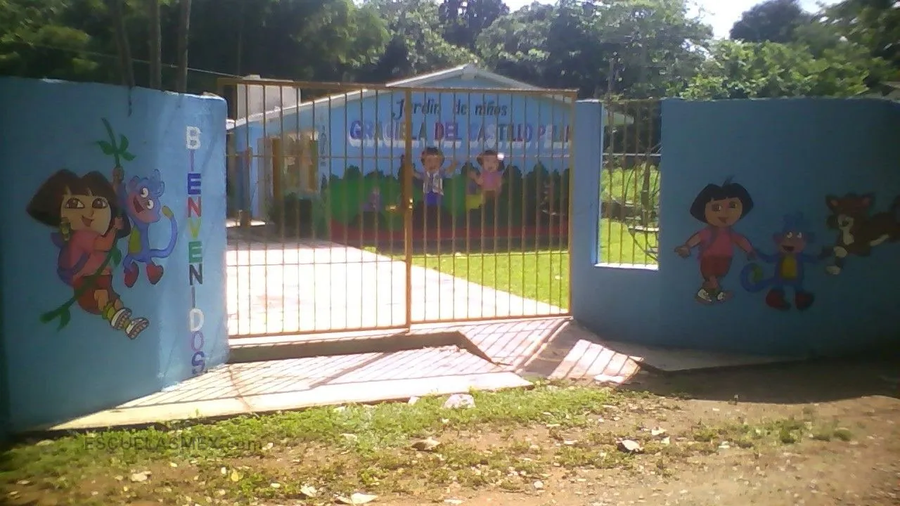 Graciela del Castillo Pellicer Entrada