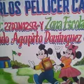 Carlos Pellicer Cámara