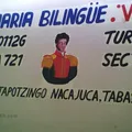 Vicente Guerrero