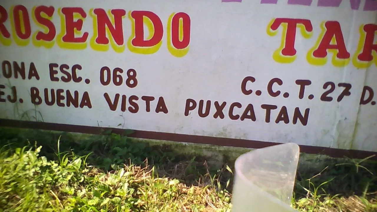 Prof. Rosendo Taracena Padron Entrada