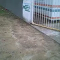 Ausencio C. Cruz