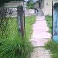 Victor Manuel Solis Solano