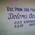 Dolores Ocaña B.