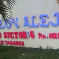 León Alejo Torre