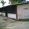 Pedro C. Colorado
