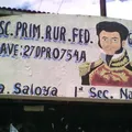 Vicente Guerrero