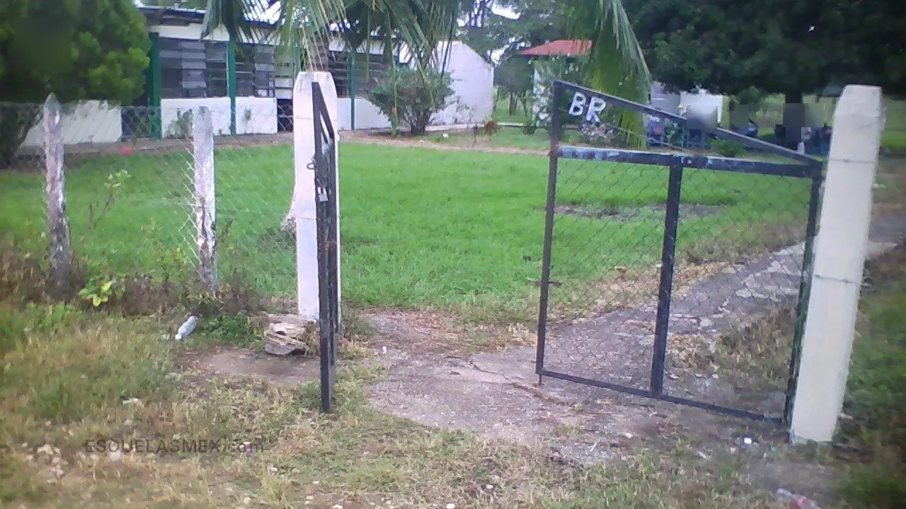 Brasil Entrada