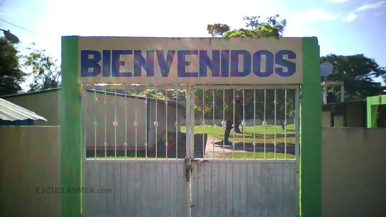 Ignacio Manuel Altamirano Entrada
